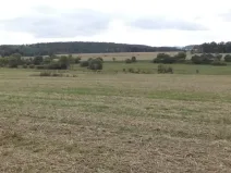 Dražba pole, Tachov, 842 m2