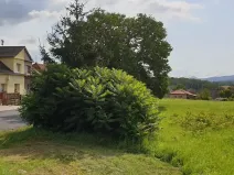 Prodej pozemku pro bydlení, Zabrušany, 5682 m2