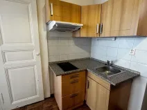Pronájem bytu 1+kk, Praha - Vinohrady, Řipská, 46 m2