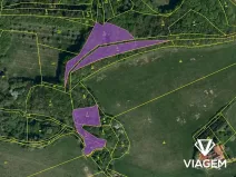 Prodej podílu lesa, Bohuslavice nad Vláří, 2999 m2