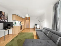 Prodej bytu 2+kk, Praha - Žižkov, Pitterova, 52 m2