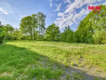 Prodej komerčního pozemku, Skalná, 1168 m2