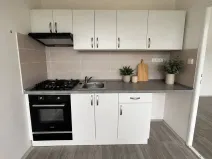 Pronájem bytu 4+1, Litvínov, Valdštejnská, 69 m2