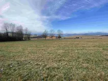 Dražba louky, Černá v Pošumaví, 2972 m2