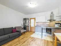 Prodej bytu 1+kk, Praha - Hloubětín, Nepelova, 29 m2