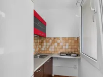 Pronájem bytu 1+kk, Praha - Podolí, Kaplická, 27 m2