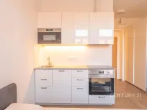 Pronájem bytu 1+kk, Praha - Vinohrady, Perunova, 22 m2