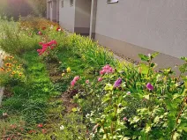 Pronájem bytu 1+kk, Frýdlant, Školní, 20 m2