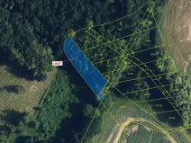 Dražba lesa, Přerov, 1071 m2