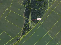 Dražba lesa, Volfířov, 7 m2