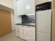 Pronájem bytu 2+1, Praha - Žižkov, Hartigova, 38 m2