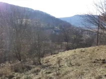 Dražba zahrady, Trmice, 640 m2