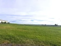 Prodej pole, Holice, 2325 m2