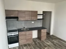 Prodej bytu 1+1, Litvínov, Tylova, 35 m2