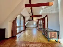 Pronájem bytu 4+kk, Brno, Tichého, 120 m2