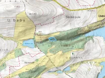 Prodej podílu lesa, Vrchotovy Janovice, 515 m2