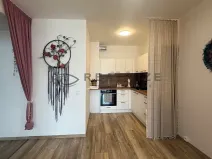 Prodej bytu 2+kk, České Budějovice, U Branišovského lesa, 52 m2
