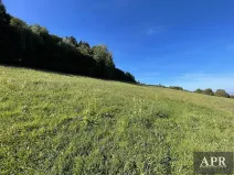 Prodej pozemku pro bydlení, Lopeník, 6165 m2