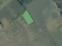 Prodej pole, Dřísy, 8020 m2