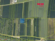 Prodej lesa, Nové Strašecí, 5970 m2