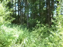 Prodej pozemku, Chodský Újezd - Nahý Újezdec, 1046 m2