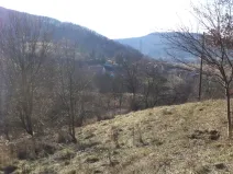 Prodej zahrady, Trmice, 640 m2