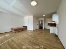 Pronájem bytu 1+kk, Malhostovice, 40 m2