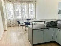 Pronájem bytu 1+1, Praha - Karlín, Thámova, 46 m2