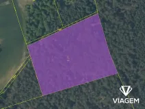 Prodej podílu lesa, Hrdlív, 2102 m2