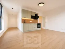 Pronájem bytu 1+kk, Brno, Pod Kavkami, 40 m2