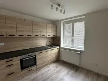 Pronájem bytu 1+1, Ostrava, Hasičská, 40 m2