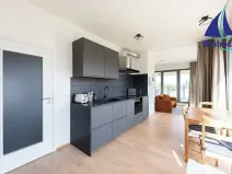 Pronájem bytu 1+kk, Praha - Karlín, Breitfeldova, 63 m2