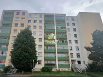 Prodej bytu 1+kk, Teplice, Seifertova, 31 m2