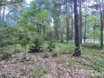 Prodej louky, Trhové Sviny - Otěvěk, 10951 m2