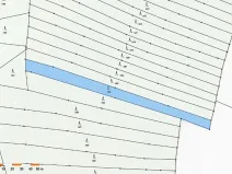 Prodej lesa, Mladoňovice, 2261 m2