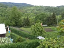 Dražba louky, Malečov, 159 m2