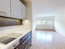 Pronájem bytu 2+kk, Brno, Fryčajova, 55 m2