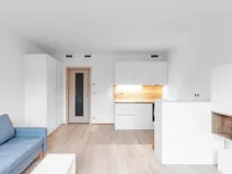Pronájem bytu 1+kk, Praha - Vysočany, Bassova, 34 m2