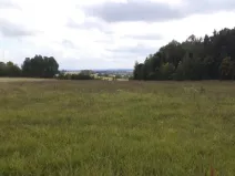 Prodej pole, Tachov, 5912 m2
