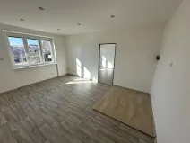 Pronájem bytu 2+1, Držkov, 56 m2