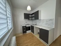Pronájem bytu 2+1, Most, Hutnická, 55 m2