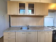 Pronájem bytu 1+1, Písek, Sovova, 34 m2