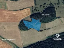Prodej podílu lesa, Prackovice nad Labem, 2761 m2