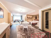 Pronájem bytu 1+kk, Brno, Žlutý kopec, 50 m2