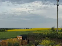 Prodej pozemku pro bydlení, Panenské Břežany, Vilová, 822 m2