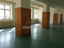 Pronájem výrobních prostor, Česká, 270 m2