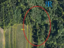 Prodej pole, Hranice - Hranice IX-Uhřínov, 30000 m2