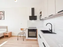 Pronájem bytu 1+kk, Olomouc, Horní lán, 24 m2