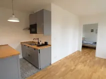 Pronájem bytu 2+kk, Praha - Vinohrady, Perucká, 40 m2