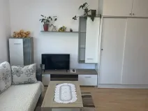Pronájem bytu 1+kk, Ostrava, Horní, 35 m2